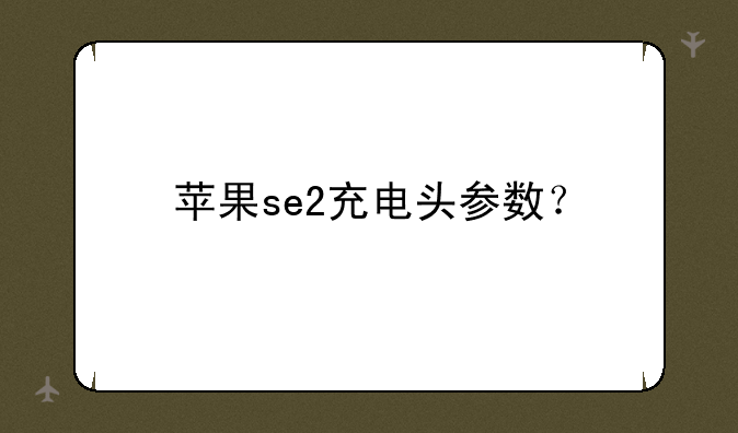 苹果se2充电头参数？
