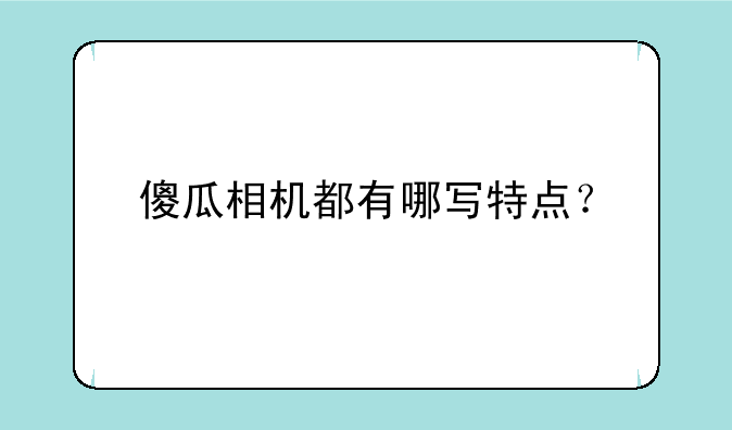 傻瓜相机都有哪写特点？