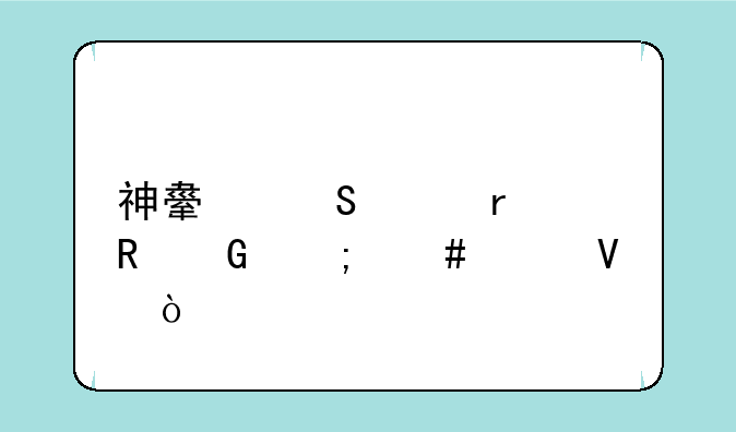 神舟笔记本电脑怎么样啊？