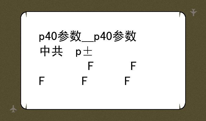 p40参数__p40参数中关村