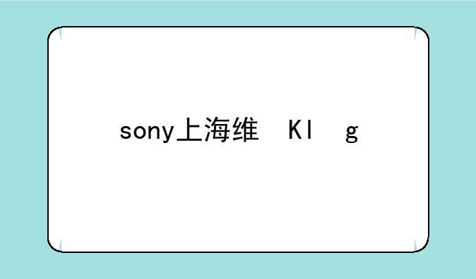 sony上海维修点