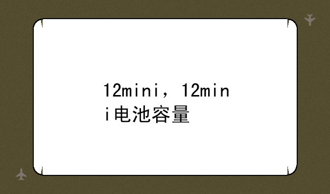12mini，12mini电池容量