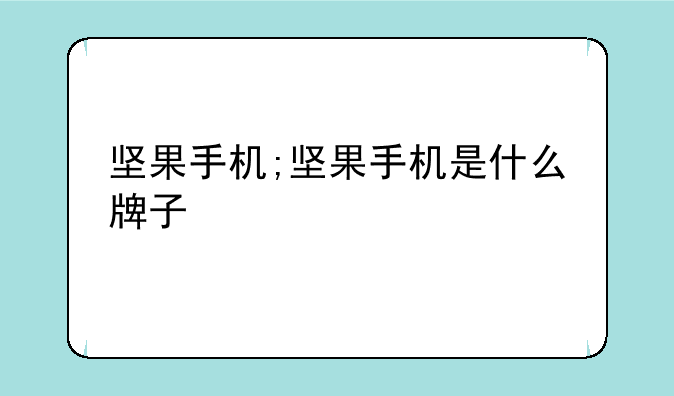 坚果手机;坚果手机是什么牌子