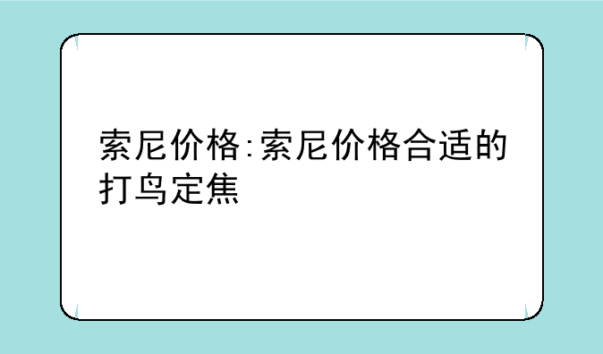 索尼价格:索尼价格合适的打鸟定焦