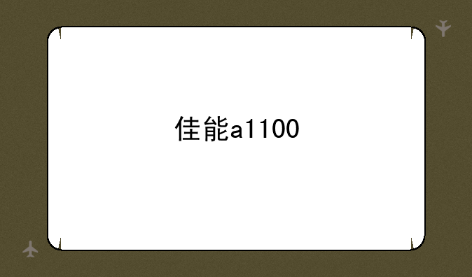 佳能a1100