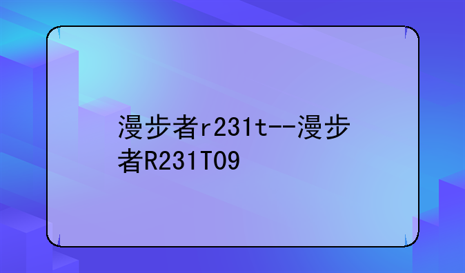 漫步者r231t--漫步者R231T09