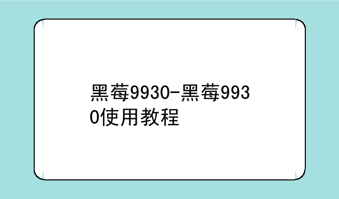 黑莓9930-黑莓9930使用教程