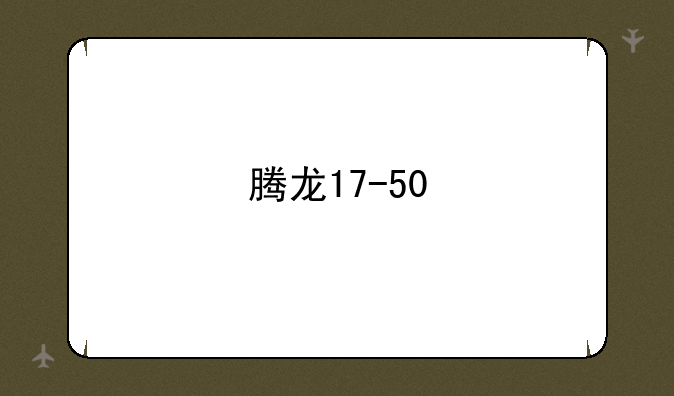 腾龙17-50
